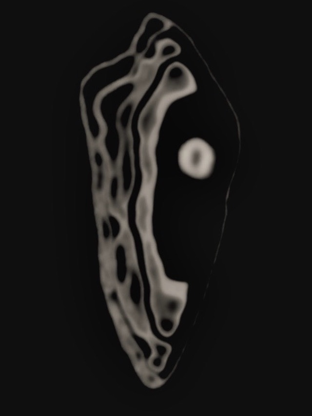 First Experiments