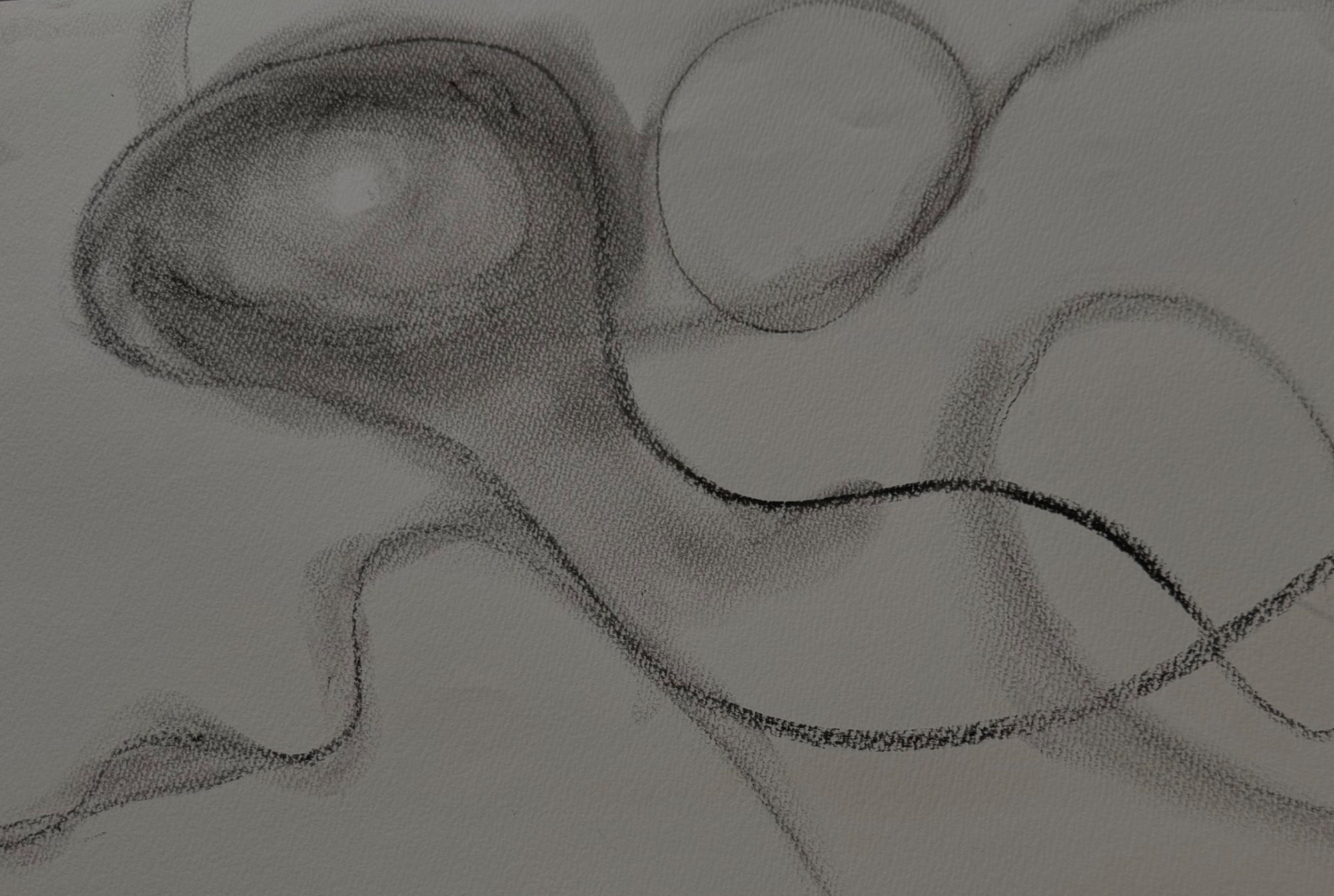 Drawings & Paintings