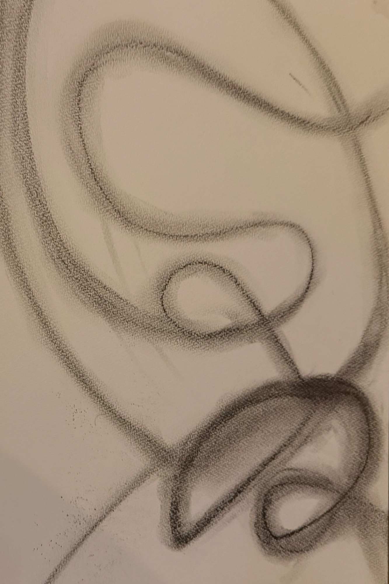 Drawings & Paintings