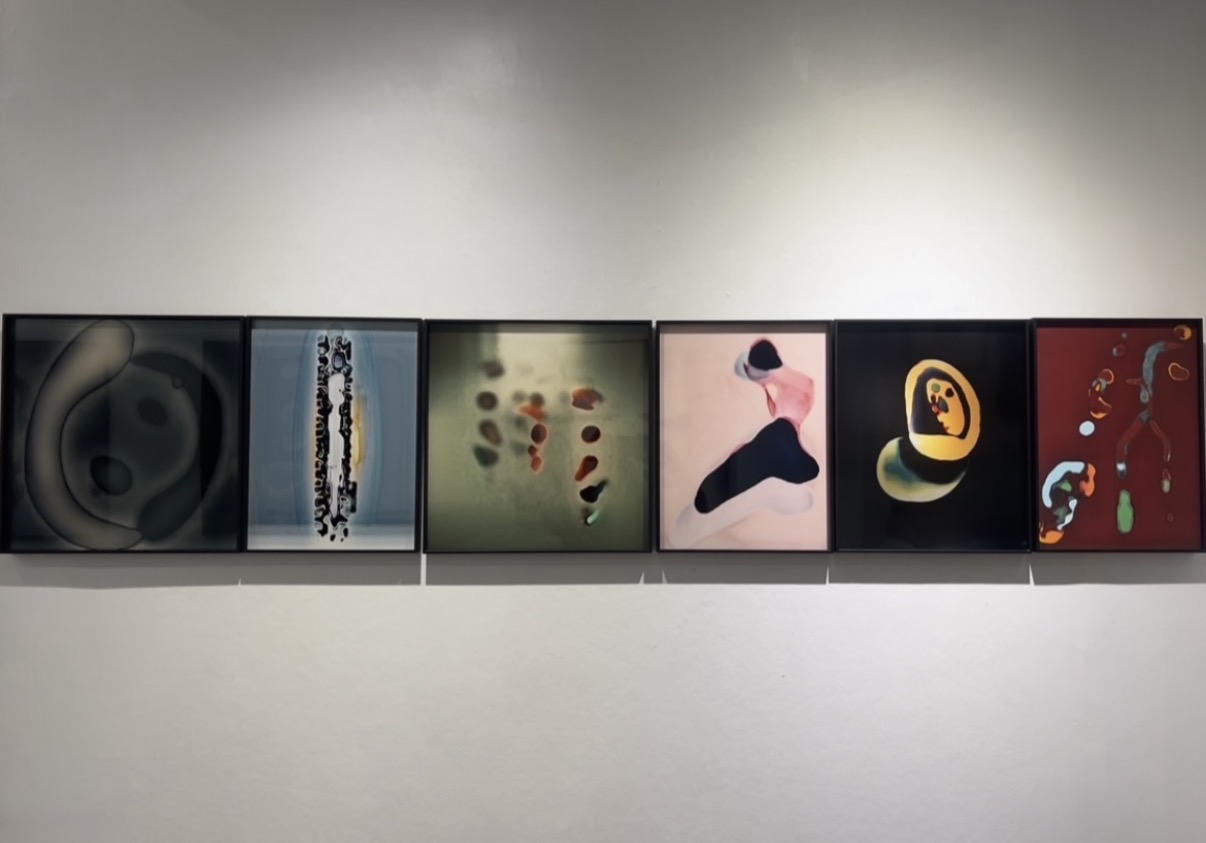 Past shows — installation view
