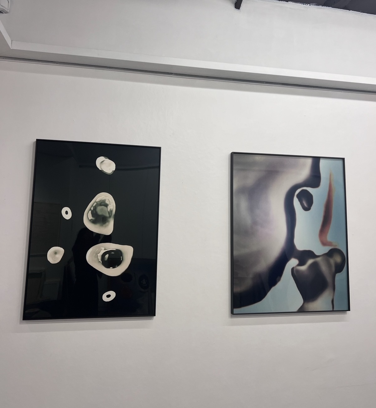 Past shows — installation view