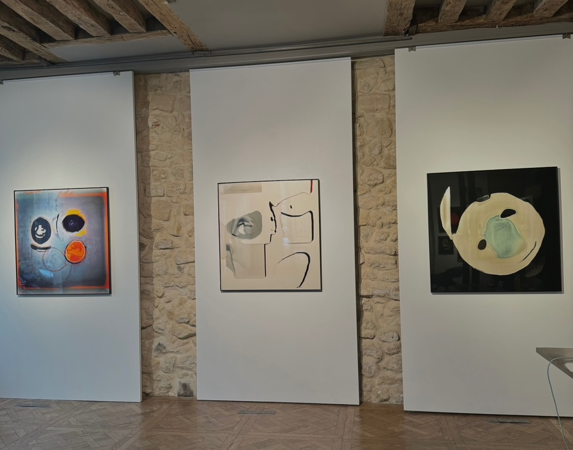 Past shows — installation view