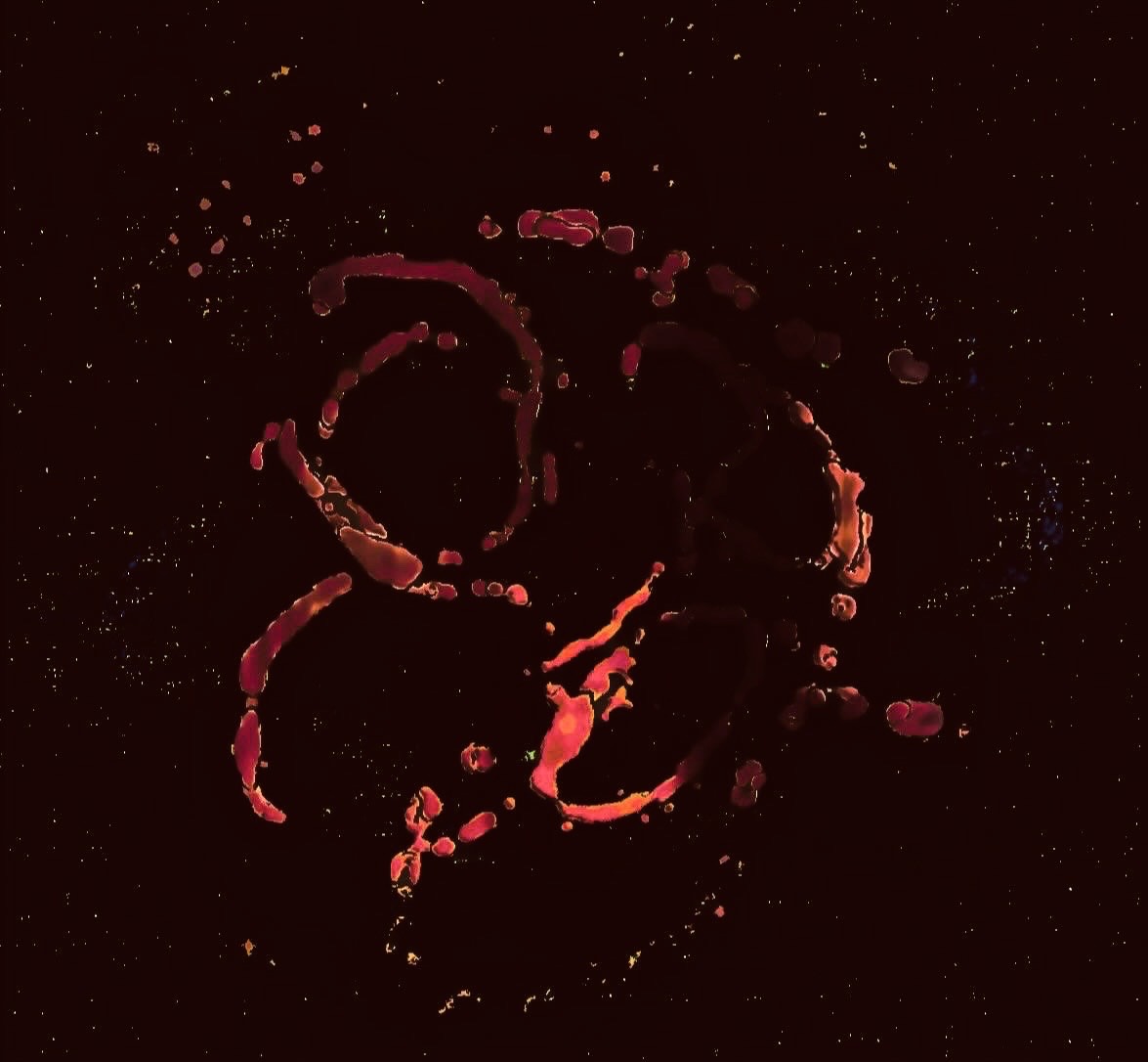 10 August 2025