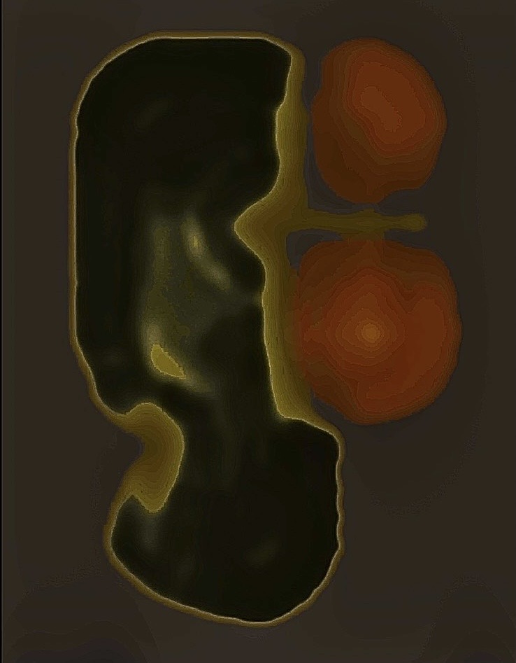 17 September 2026