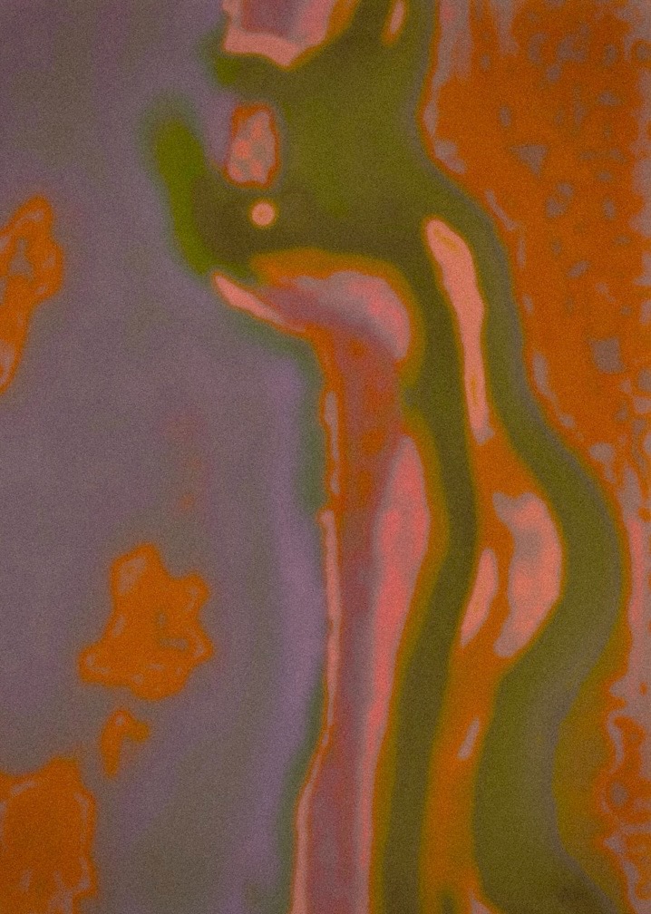 20 July 2026