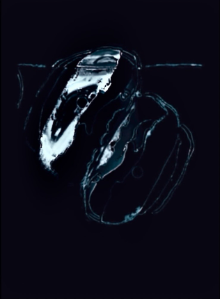 5 August 2023